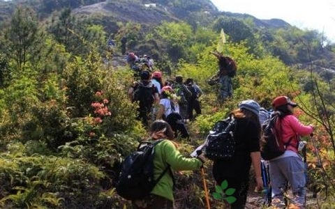 登山小腿肚疼怎么办