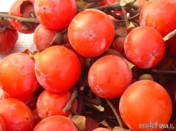 富硒集市:陕西特产火晶小柿子你吃过吗
