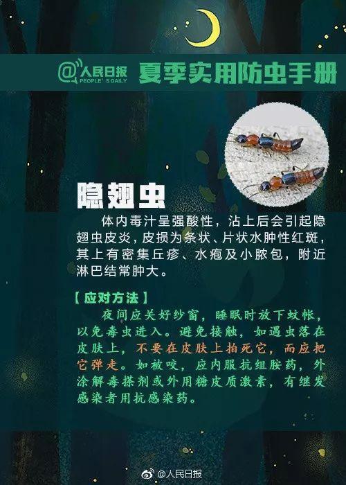 恙虫病怎么治疗图片