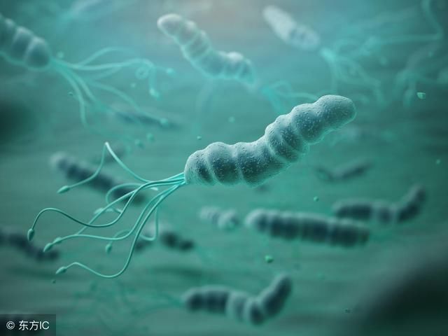 胃不好,早晚偷偷喝1勺,扫除幽门螺旋杆菌,胃