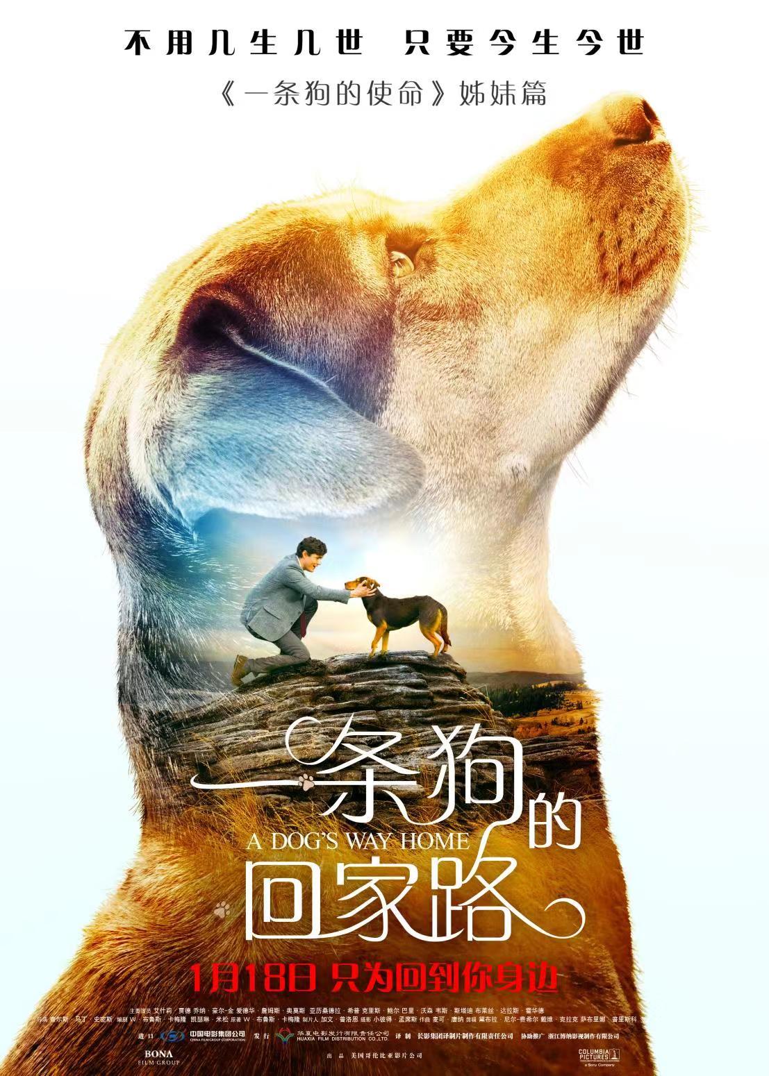 《一条狗的回家路》定档海报.