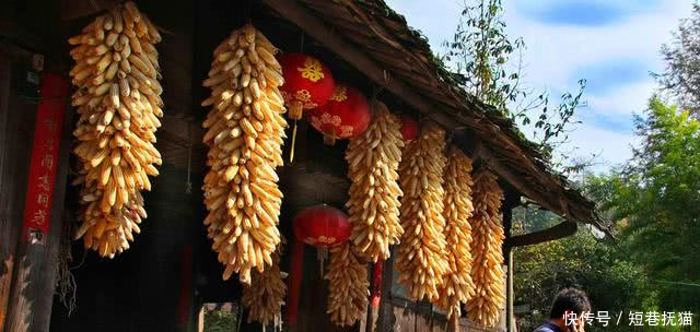 老公早逝,婆婆打骂逼我母子分离,十年后遇小叔