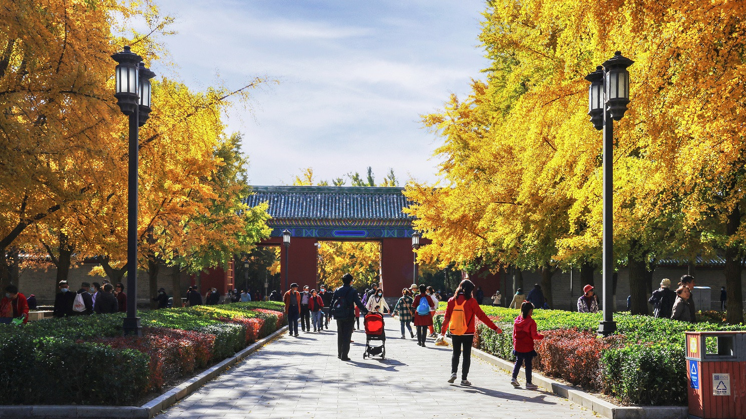 北京地坛公园美成了秋天的奇迹! 北京地坛公园美成了秋天的奇迹!