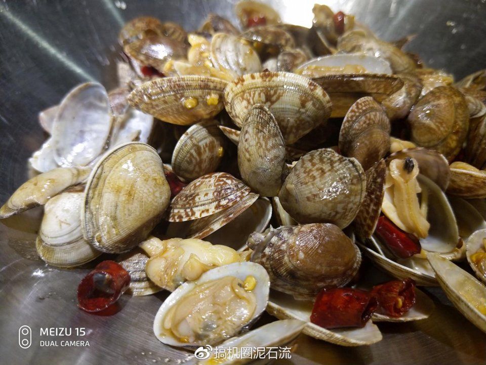 都是高通骁龙660,为什么非全面屏的魅族15依