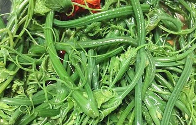 农村这三种野菜,吃过的才是农村人,最后一种不鲜!