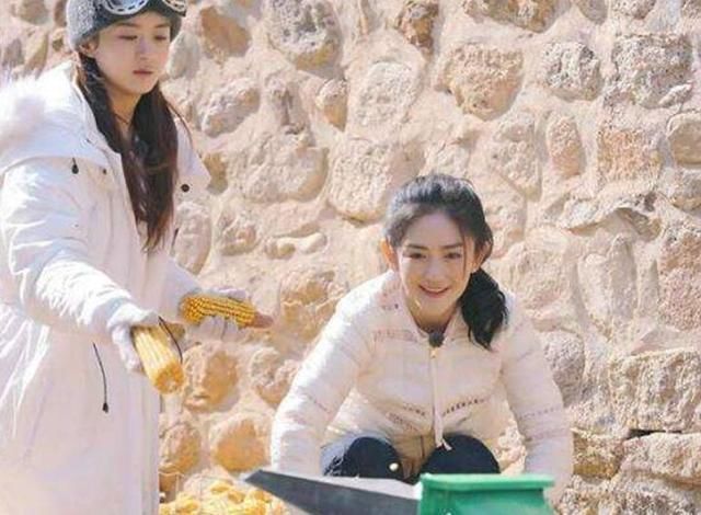 赵丽颖叫嚣何炅我也要土鸡蛋,谢娜8字神回复