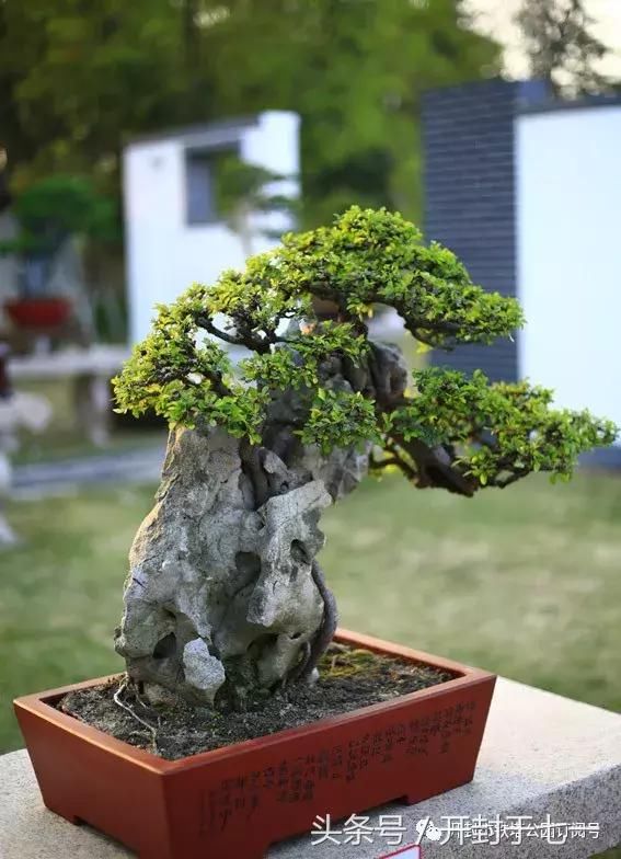 开封旅游老司机 写了个五一开封游计划