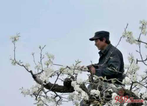 十大暴利行业排行榜,小本创业项目大全,小本生