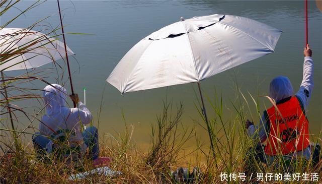 老钓友教你夏钓鲤鱼的时候怎样来调钓!