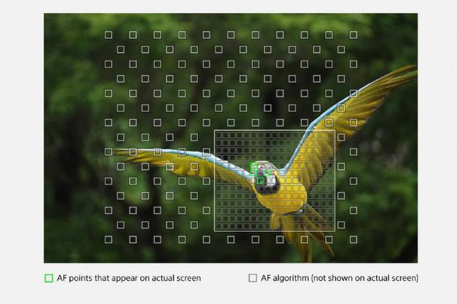 索尼黑卡RX10M4 体验高速新赋能