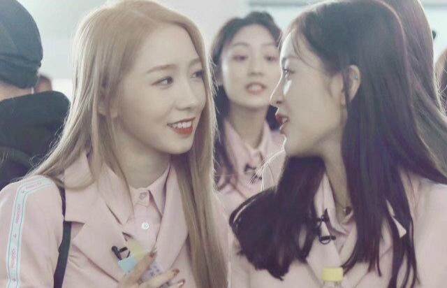 乐华成最大赢家,杨超越、李子璇与王思聪公司