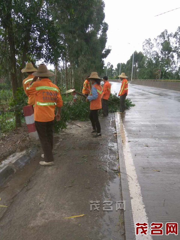 化州公路职工及时清理台风垃圾