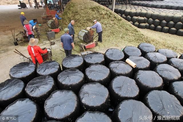 渑池县一农药厂污染环境,四名相关干部分别受