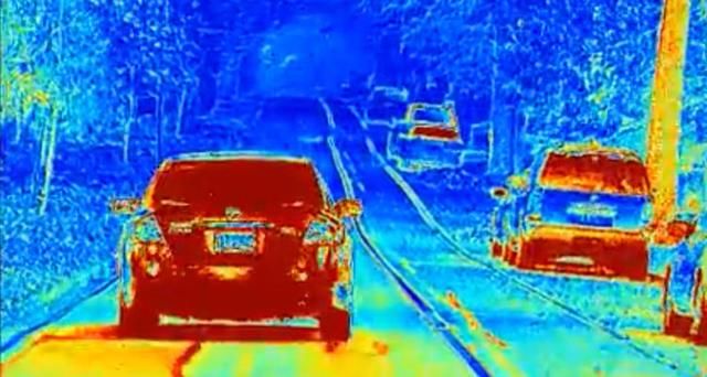 皮皮虾的眼睛能分辨复杂色彩,对改造自动驾驶