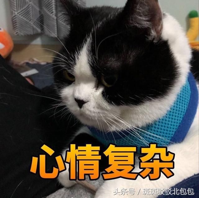 为什么有的人吃不胖?原因:三岁看老