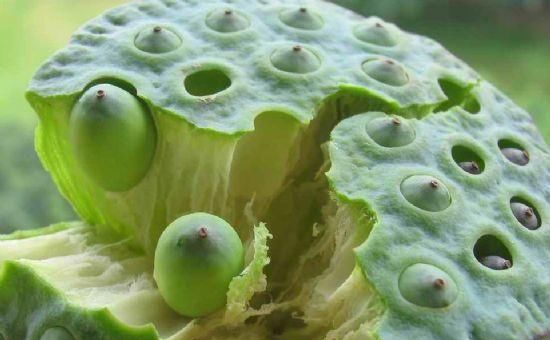 经典对联: 上联今世进士尽是近视, 下联成为绝