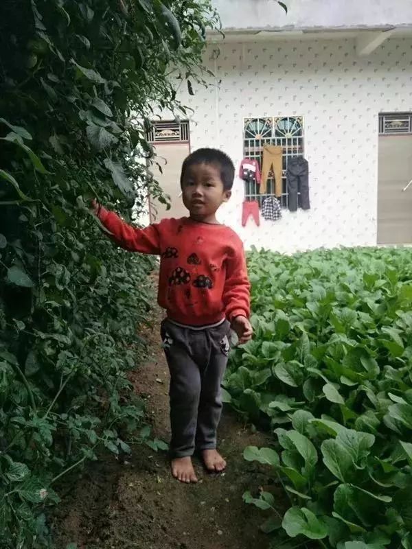 揪心!扩散!海南4岁男童家门口走失!监控显示1