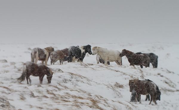 世界本让我们认识了一个全国人口只有30多万