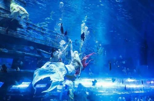 江苏省无锡市融创海世界正式启幕 助力长三角文旅标杆再加速(图2) 江苏省无锡市融创海世界正式启幕 助力长三角文旅标杆再加速(图2)