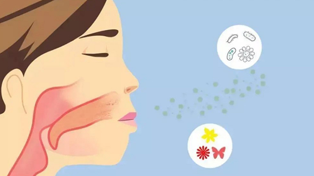 花粉和尘螨是过敏性鼻炎常见的过敏原