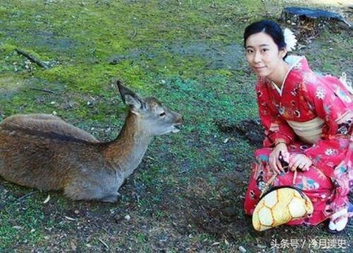 东北一村子大半中日混血,一半家庭有日本老人