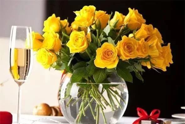 植物风水八个旺财增运方法:家里摆什么植物旺