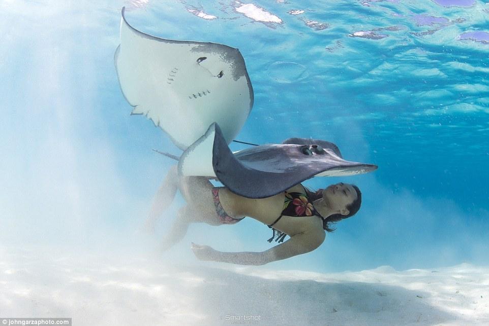 当被问及如果这些动物突然攻击怎么办，拉伊回应说：“如果意外发生，我的确没有任何安全措施，但是岸上就有医院。”