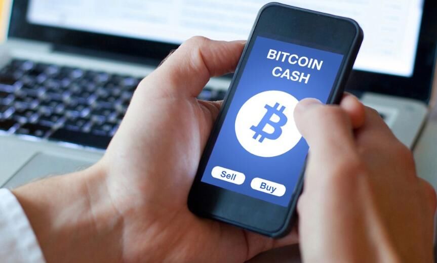 盘点那些以比特现金为基础货币的交易所