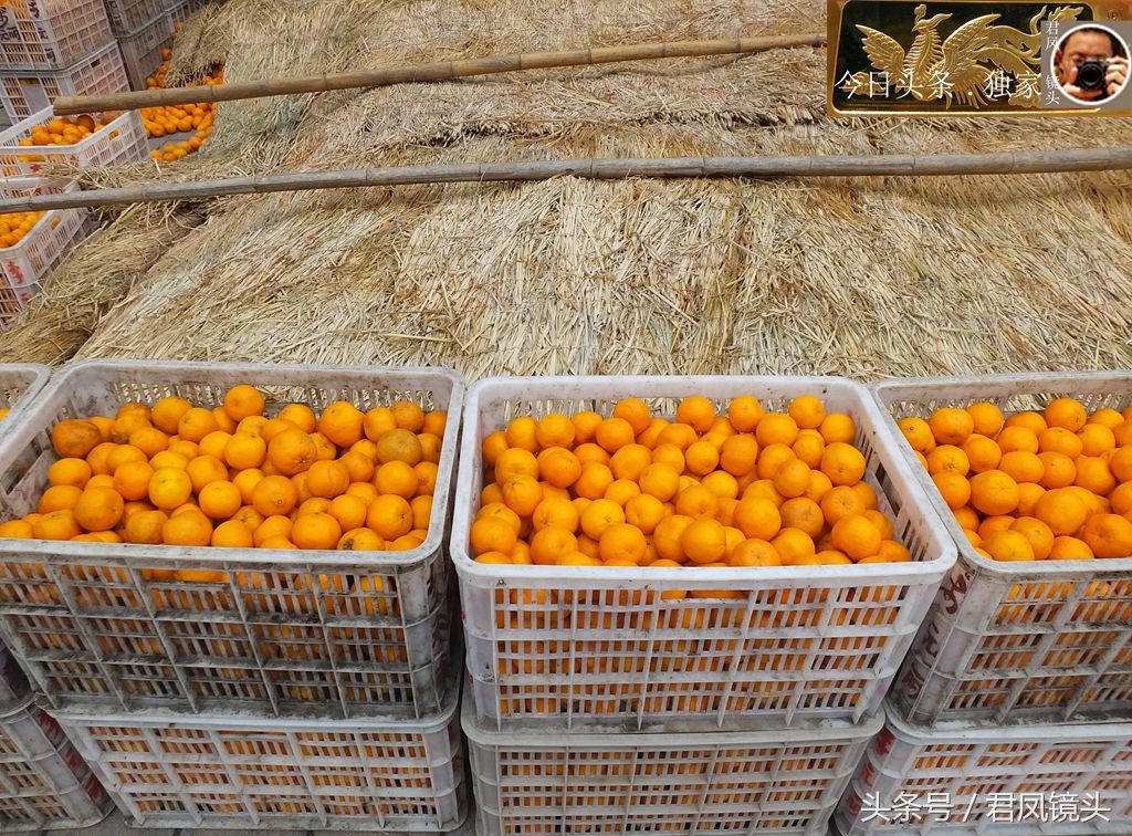 湖北宜昌:天寒地冻,农民用稻草做被子,给20000