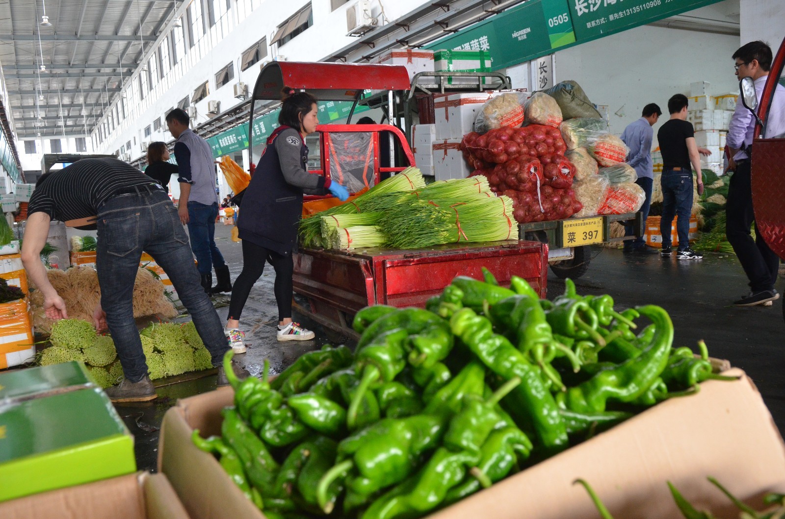 长沙海吉星造就全国最大蔬菜中转枢纽