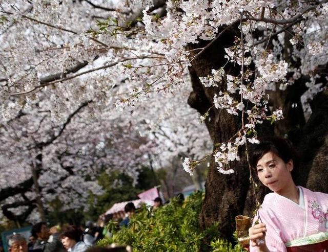 日本游风靡中国,赴日消费达千亿,日本却表示:中