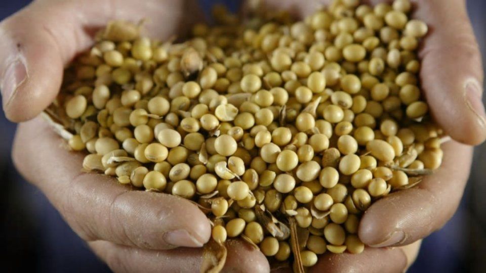 中美贸易战灰犀牛事件会否影响您的人民币资