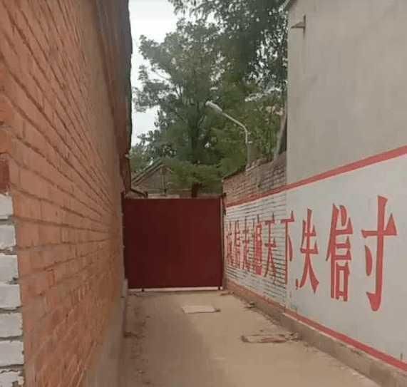 生活!朱之文被邻居直播赚钱,女儿胖到嫁不出去