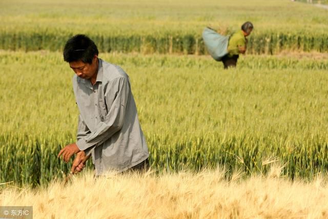 征地补偿款村委会最多截留多少?11省有了明确