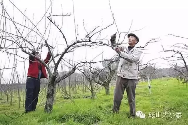 为什么砀山农村这么多空房子没人住!知道原因