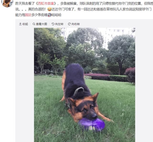 《西虹市首富》用狗当守门员嘲讽国足,网友:合