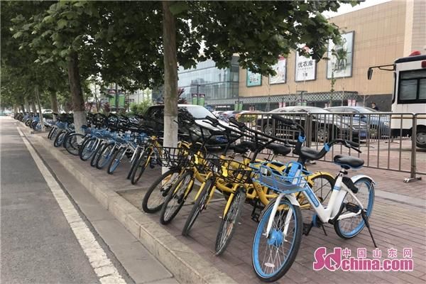 文明骑行共享单车 淄博将出台新政策规范乱停