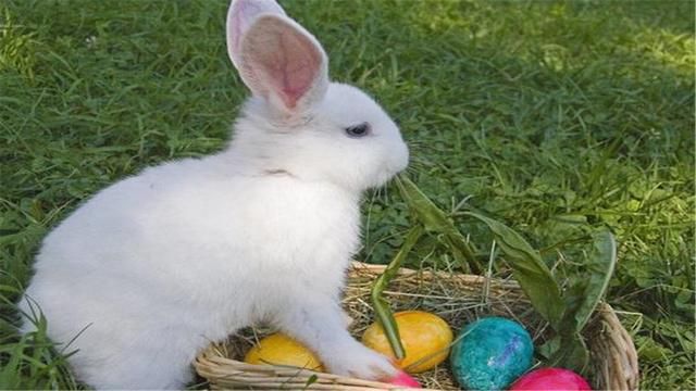 性格内向不爱说话,但头脑聪明的生肖男,别想着