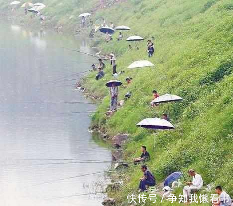 高手意外掌握1招用大蒜钓鲫鱼的绝招!鱼获31斤