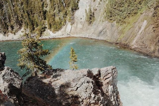 美国看病记|挂号费600美金,要钱还是就医?(内附