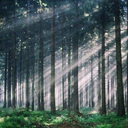 看透人心心酸的句子,句句精辟,你经历过吗?