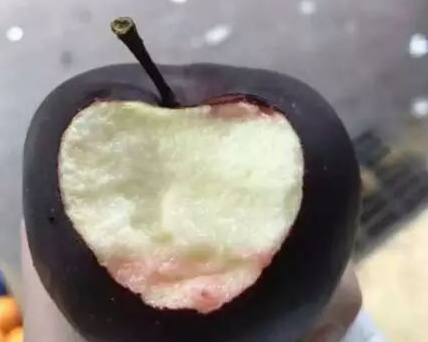 老汉种了一片黑苹果树,几年都未开花结果,8年