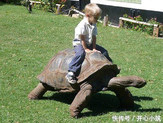 搞笑GIF图片笑话段子:看,这是我老公送我的金