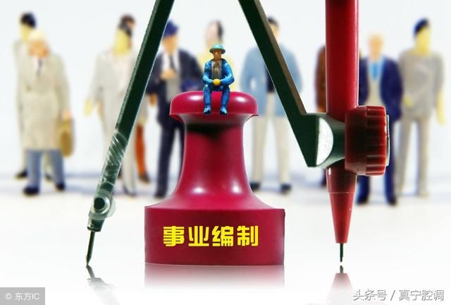 教师身份分类,非在编、特岗教师和合同制教师