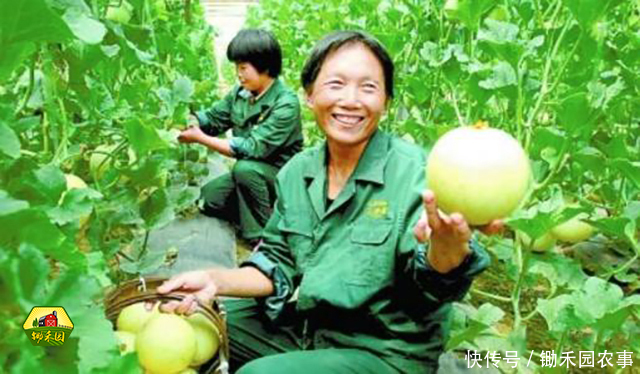 2018年农业补贴新规落实,这五类人将领不到补