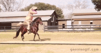 搞笑gif趣图:后面的小哥你是故意的吧,看把美女摔成什么样子了?