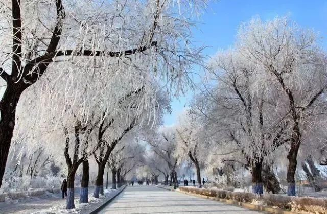 12月机票打折季来了!南京出发,去这些地方便宜