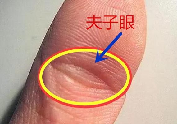 手相说:手中有夫子眼,天资聪慧,事业运旺