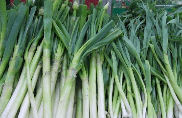 周立波调侃东北人吃大蒜,为什么东北人对大蒜如此喜爱?