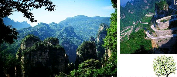 韶山冲在湖南哪里 t0148ebf79ce0cd3e04.png?size=583x255